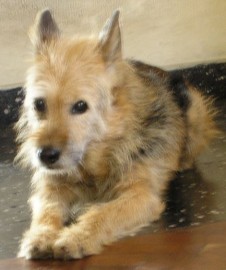 Maggie